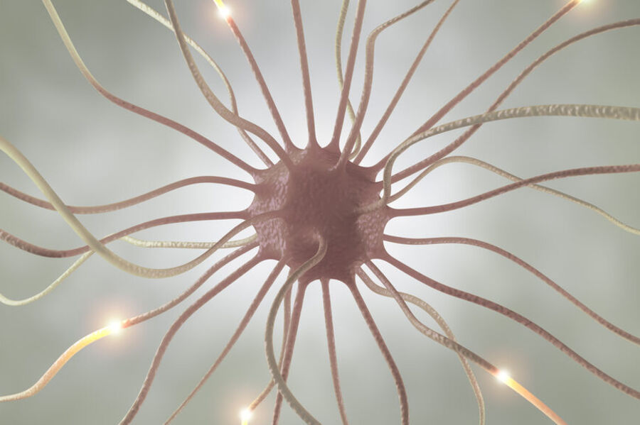 Cognitive Distortion